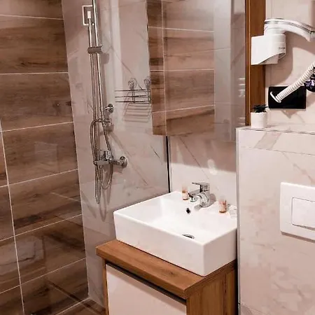 Lukic * 科帕奥尼克